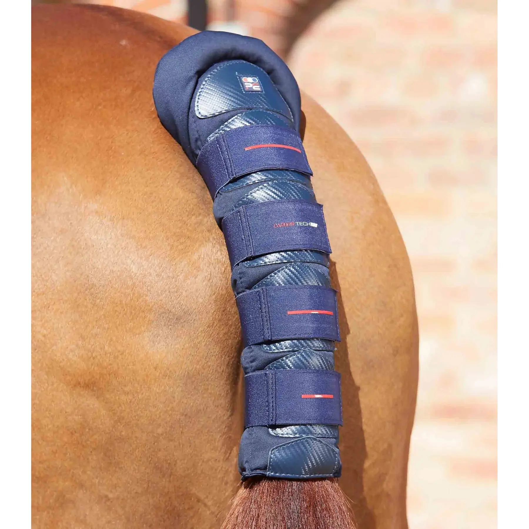 Anti-slip horse Tail Guard Premier Equine Carbon Tech