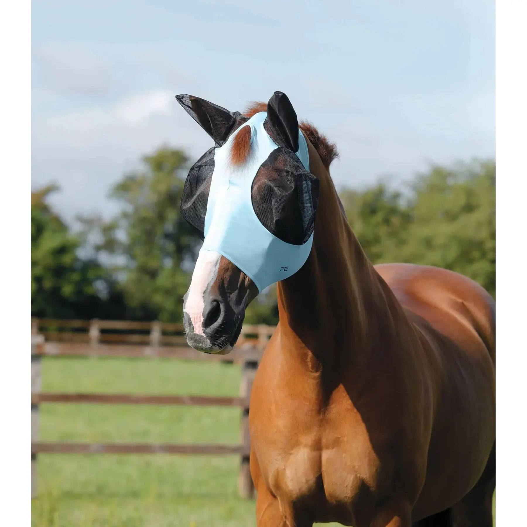 Maschera antimosche per cavalli Premier Equine Comfort Tech Lycra