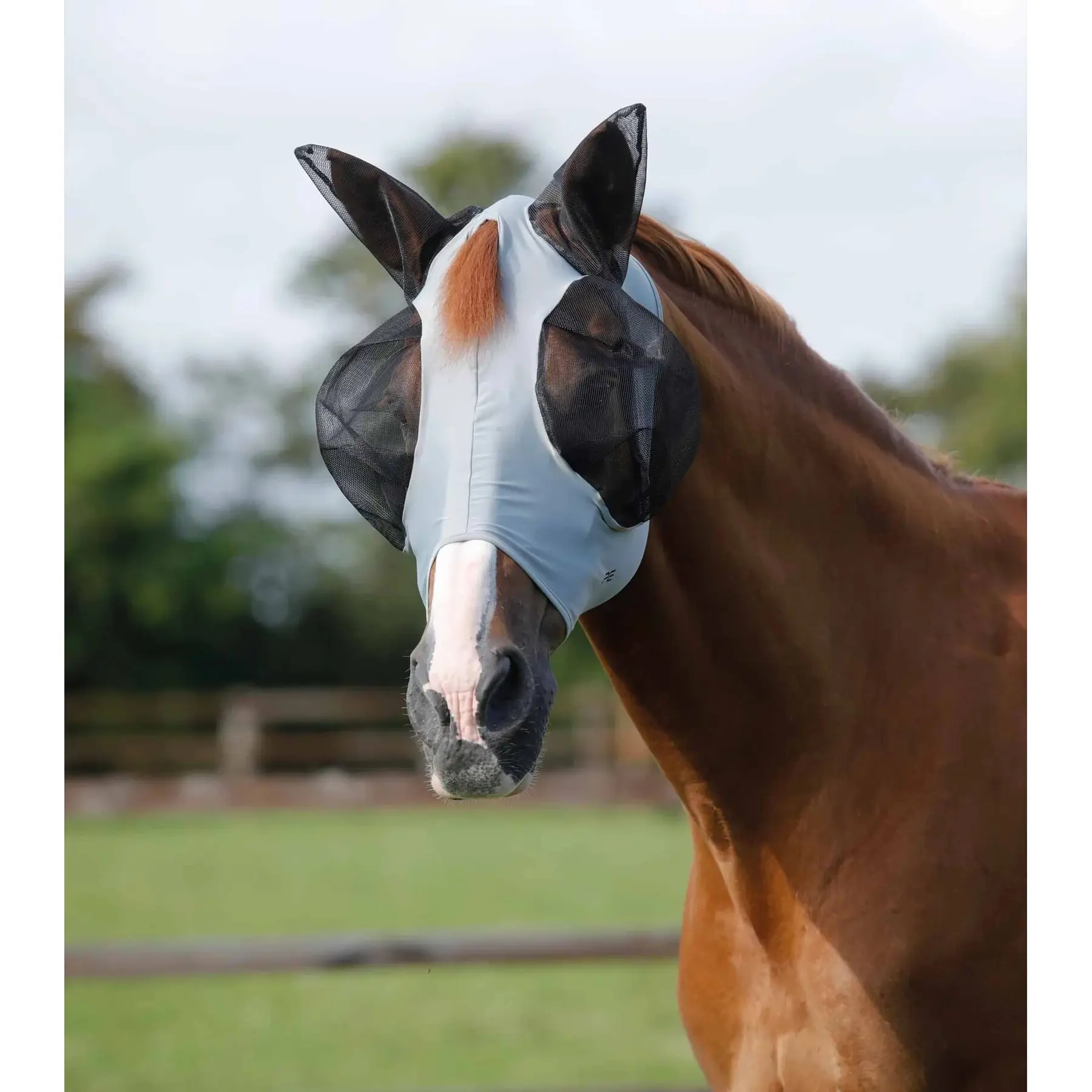 Anti-fly mask for horses Premier Equine Comfort Tech Lycra