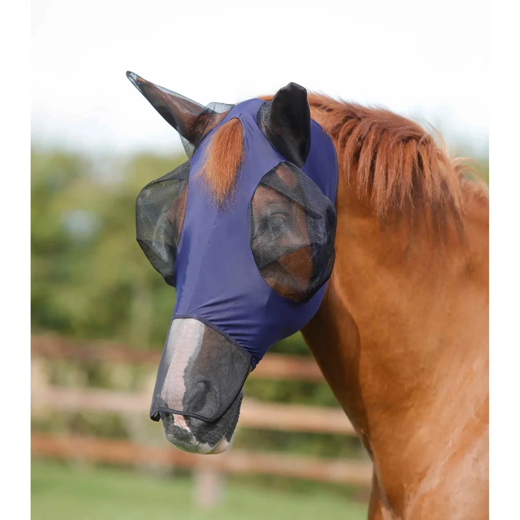 Anti-fly mask for horses Premier Equine Comfort Tech Xtra Lycra