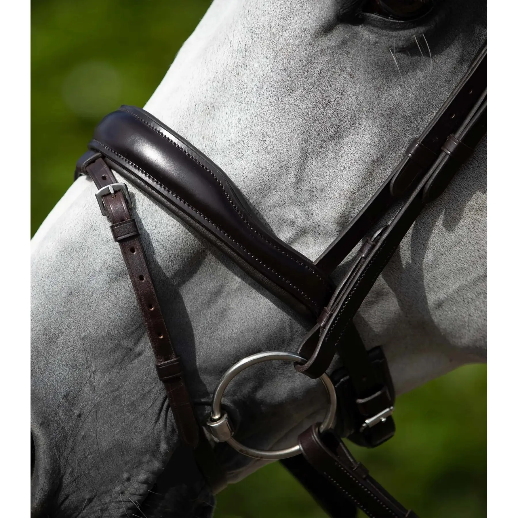 Anatomical bridle with combined noseband Premier Equine Rizzo