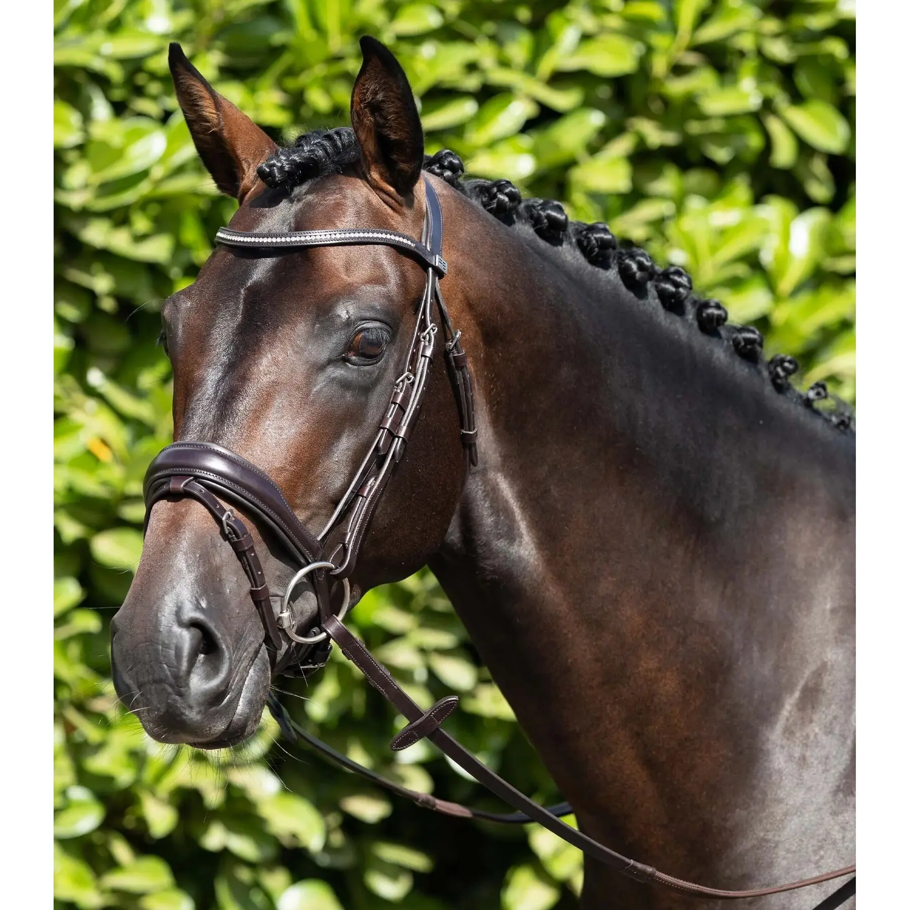 Anatomical combination snaffle bridle Premier Equine Stellazzio
