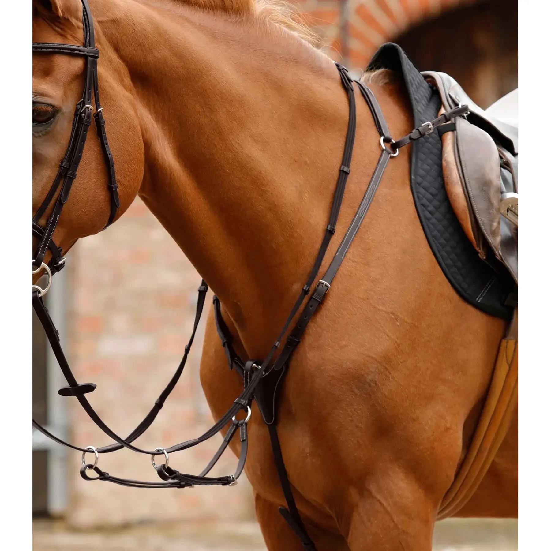 Hunting collar for horse Premier Equine Norbello