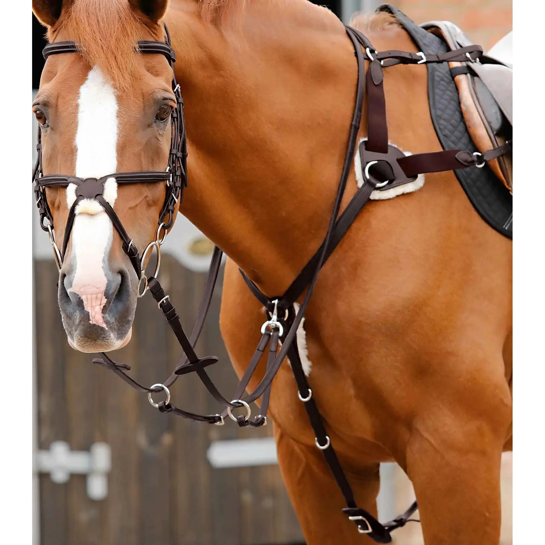 Collare da caccia per cavalli a 5 punte Premier Equine Invorio