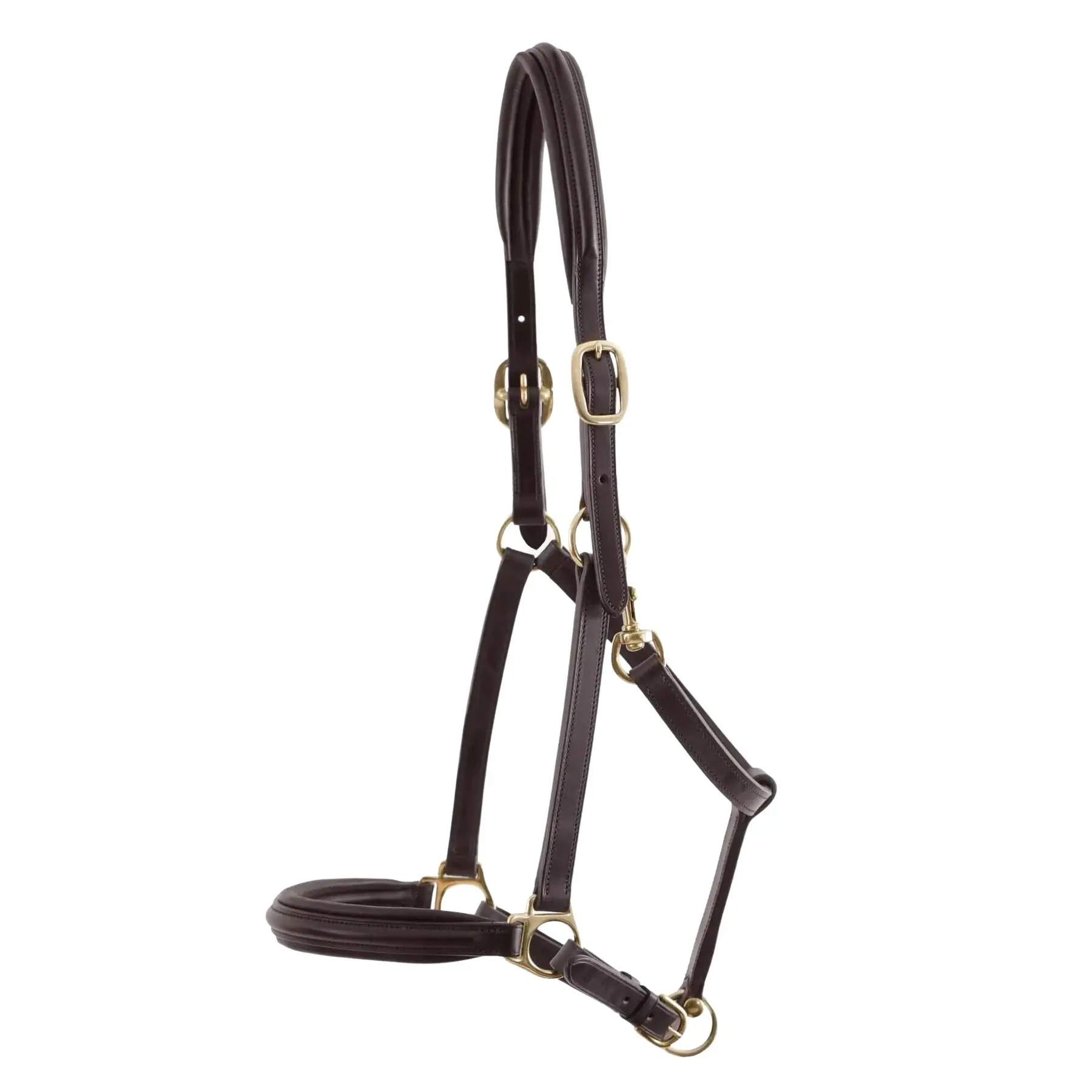 Leather padded horse halter Premier Equine