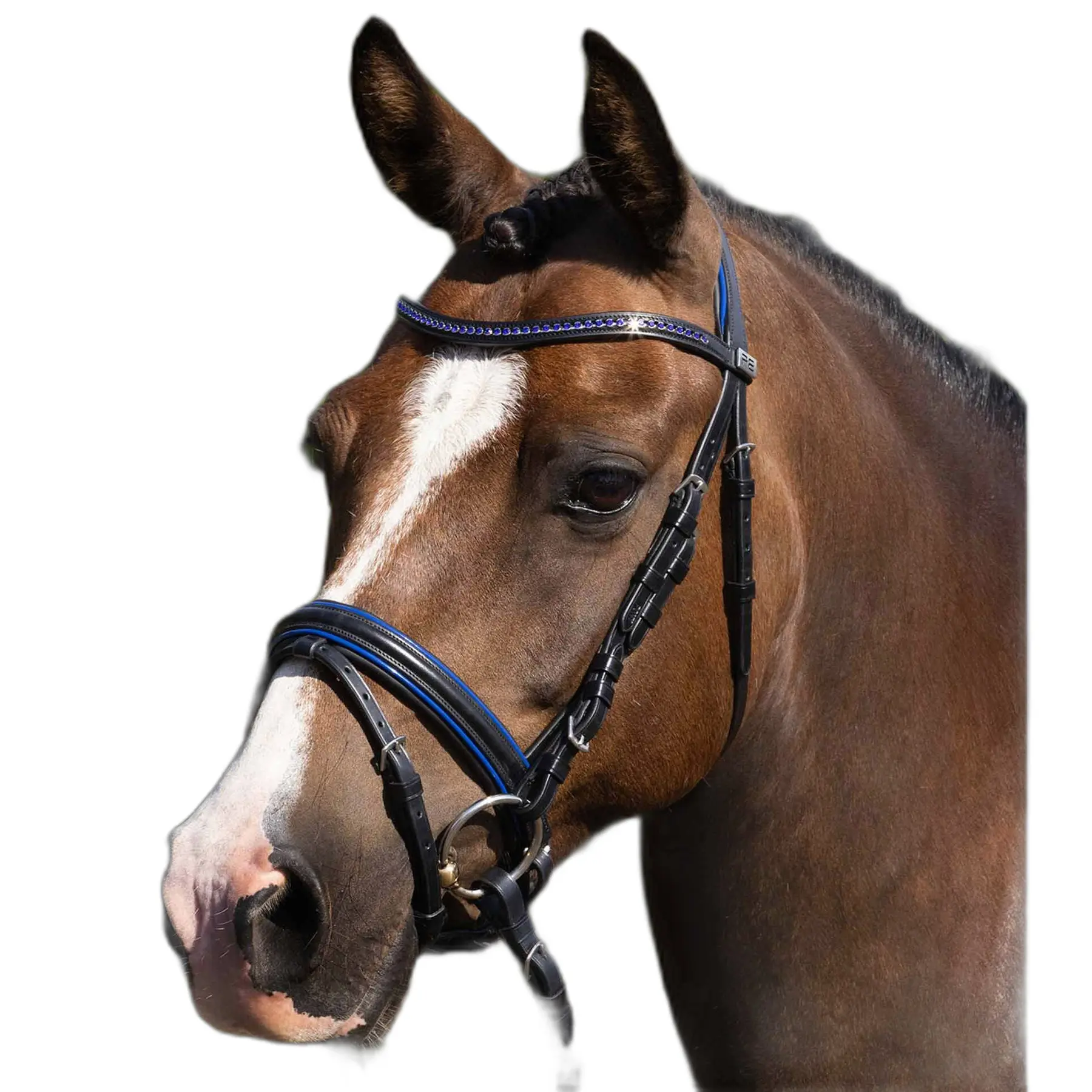 Riding bridle Premier Equine Mineo