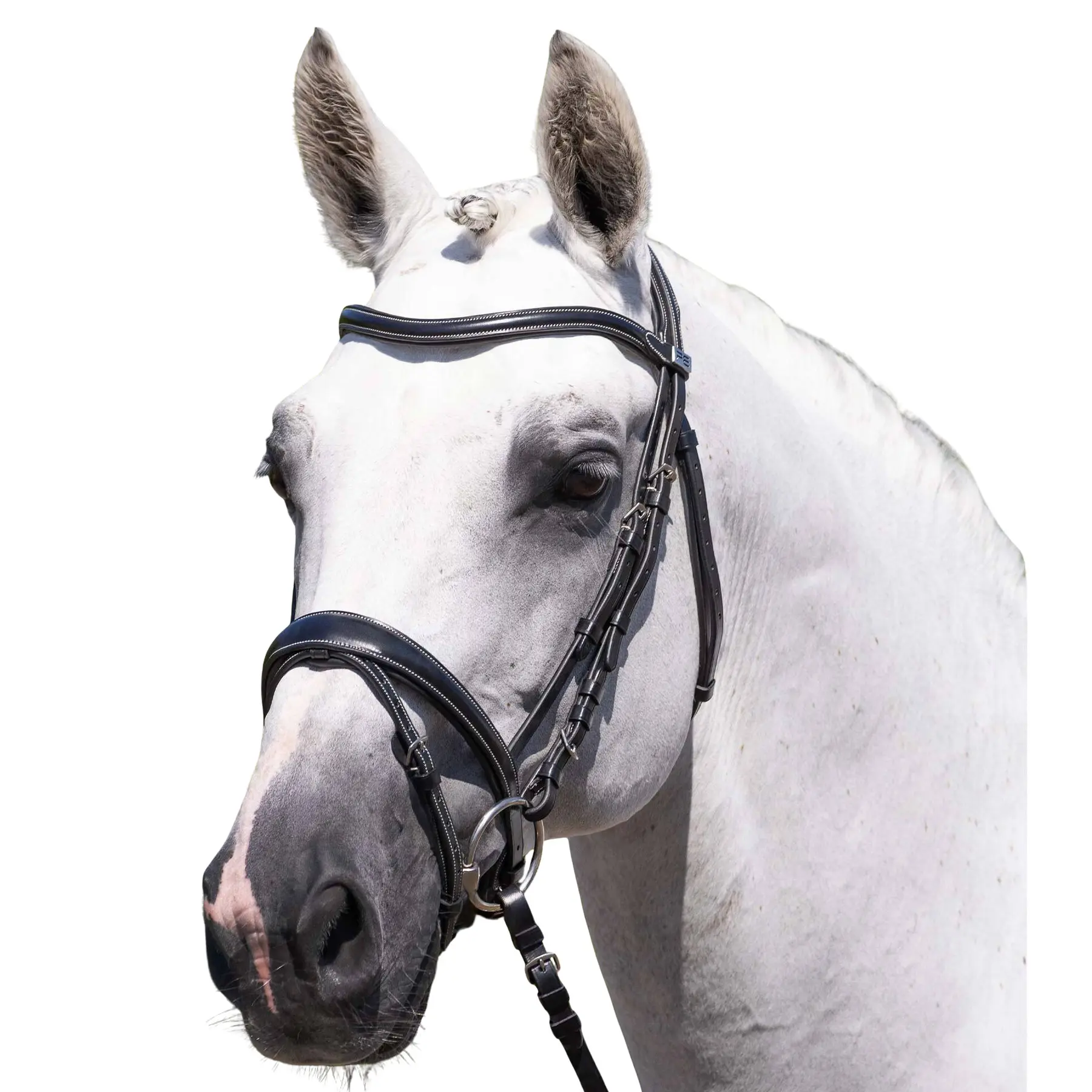 Horse reins Premier Equine Cassano