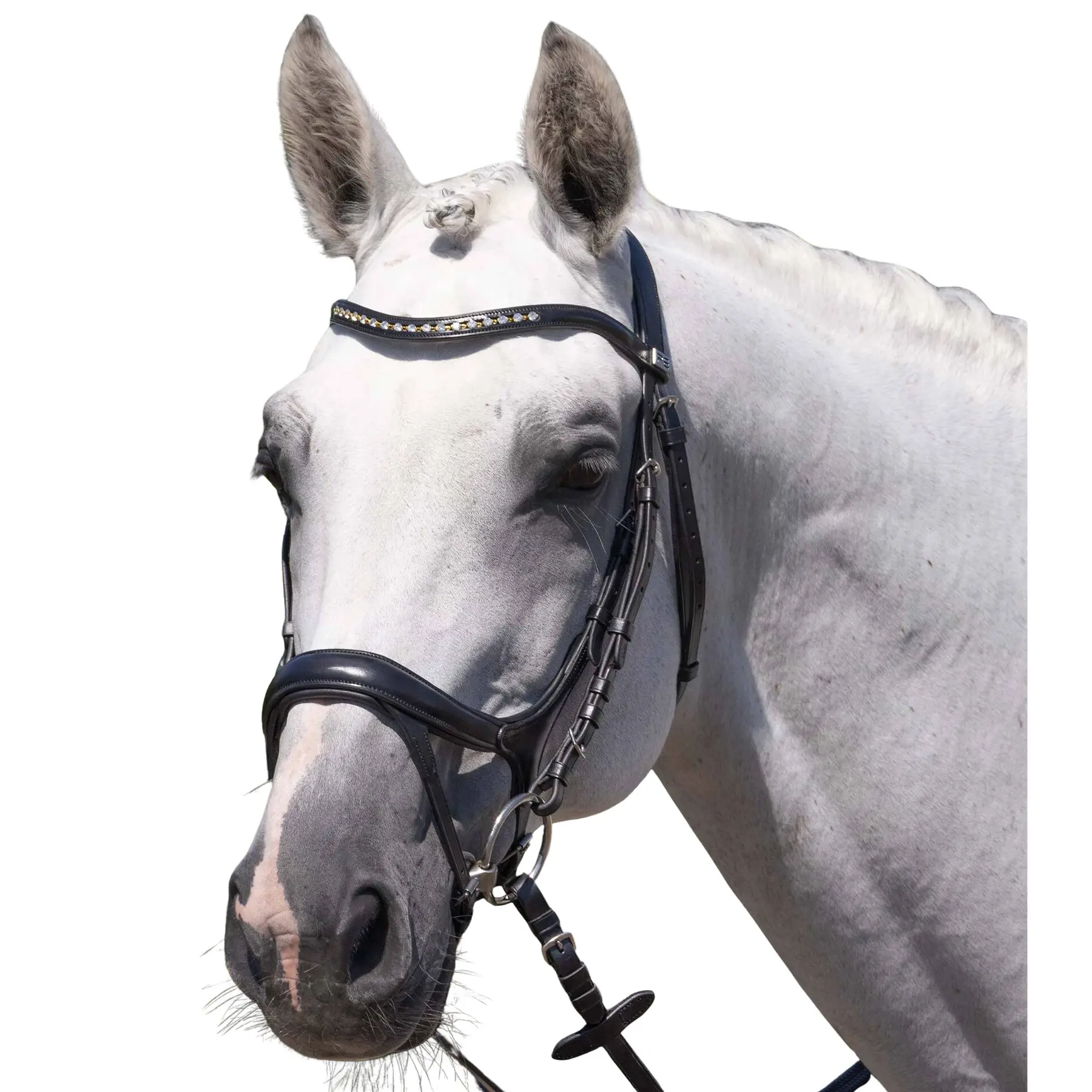 Riding bridle Premier Equine Palazzo