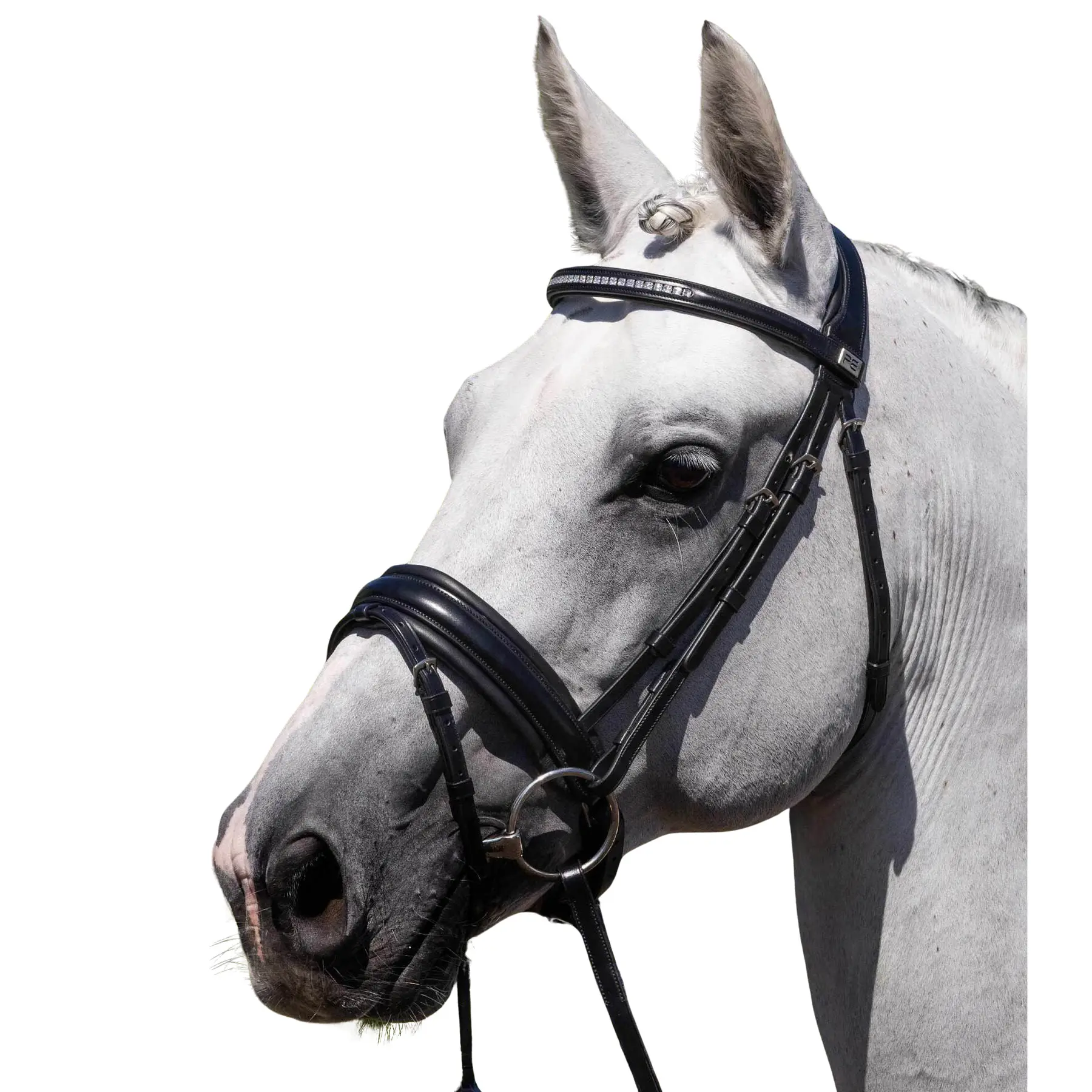Anatomical riding bridle Premier Equine Castello