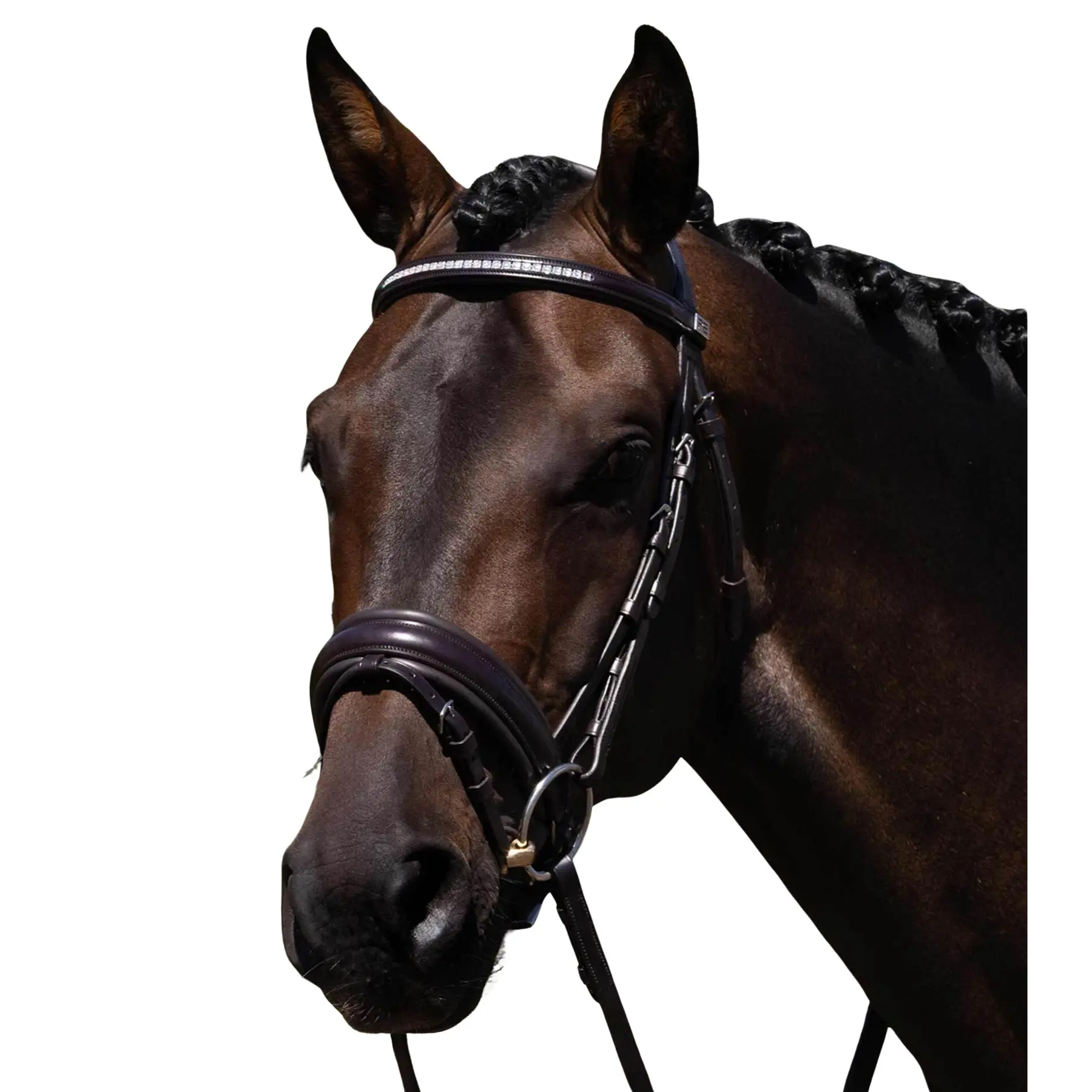 Anatomical riding bridle Premier Equine Castello