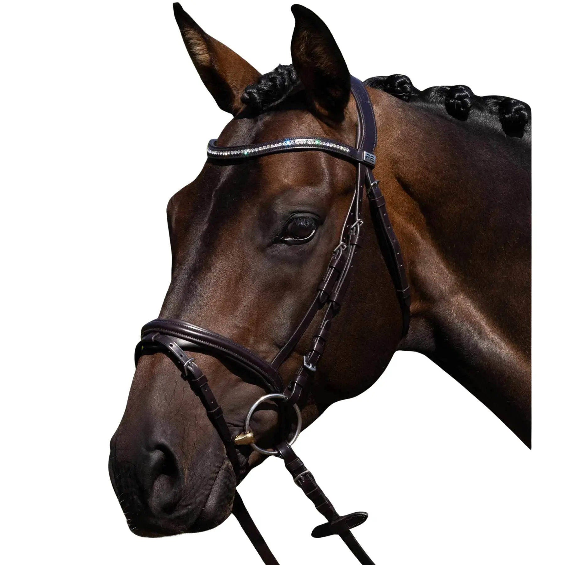 Mors da equitazione Premier Equine Rivere