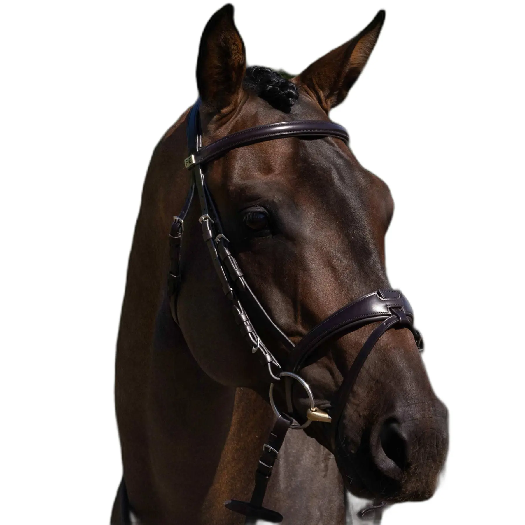 Riding bridle Premier Equine Artana