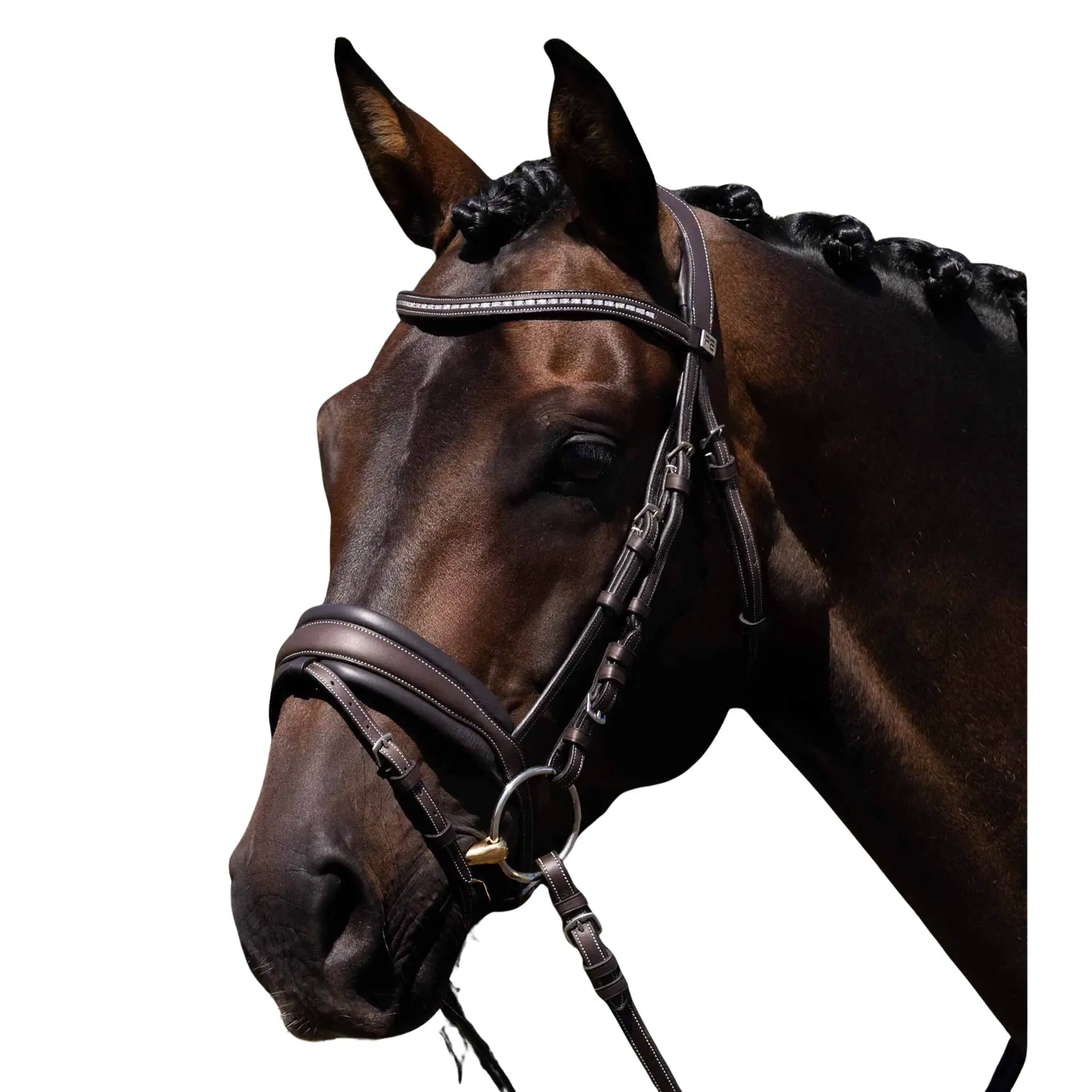 Sella da equitazione Premier Equine Veneto