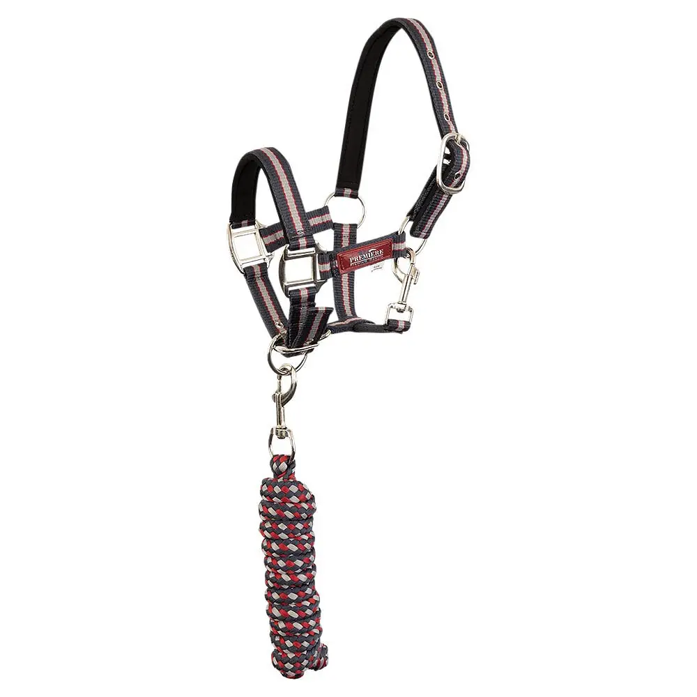 Ensemble licol et longe pour cheval Premiere XS