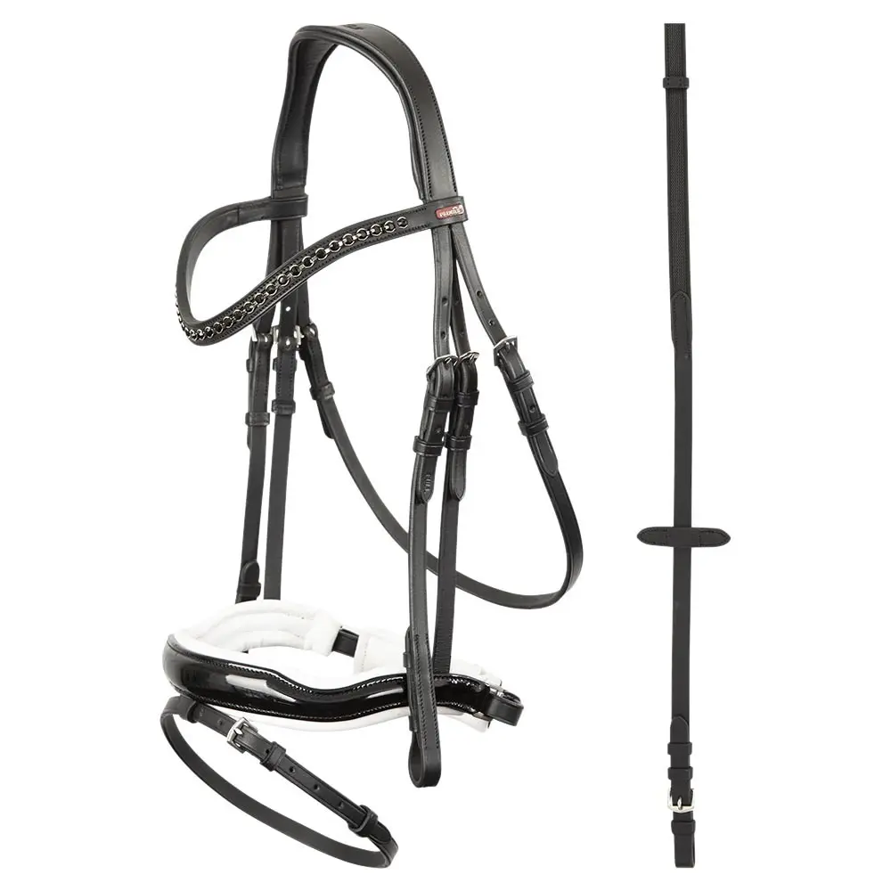 Bridles Premiere anatomique Lorient