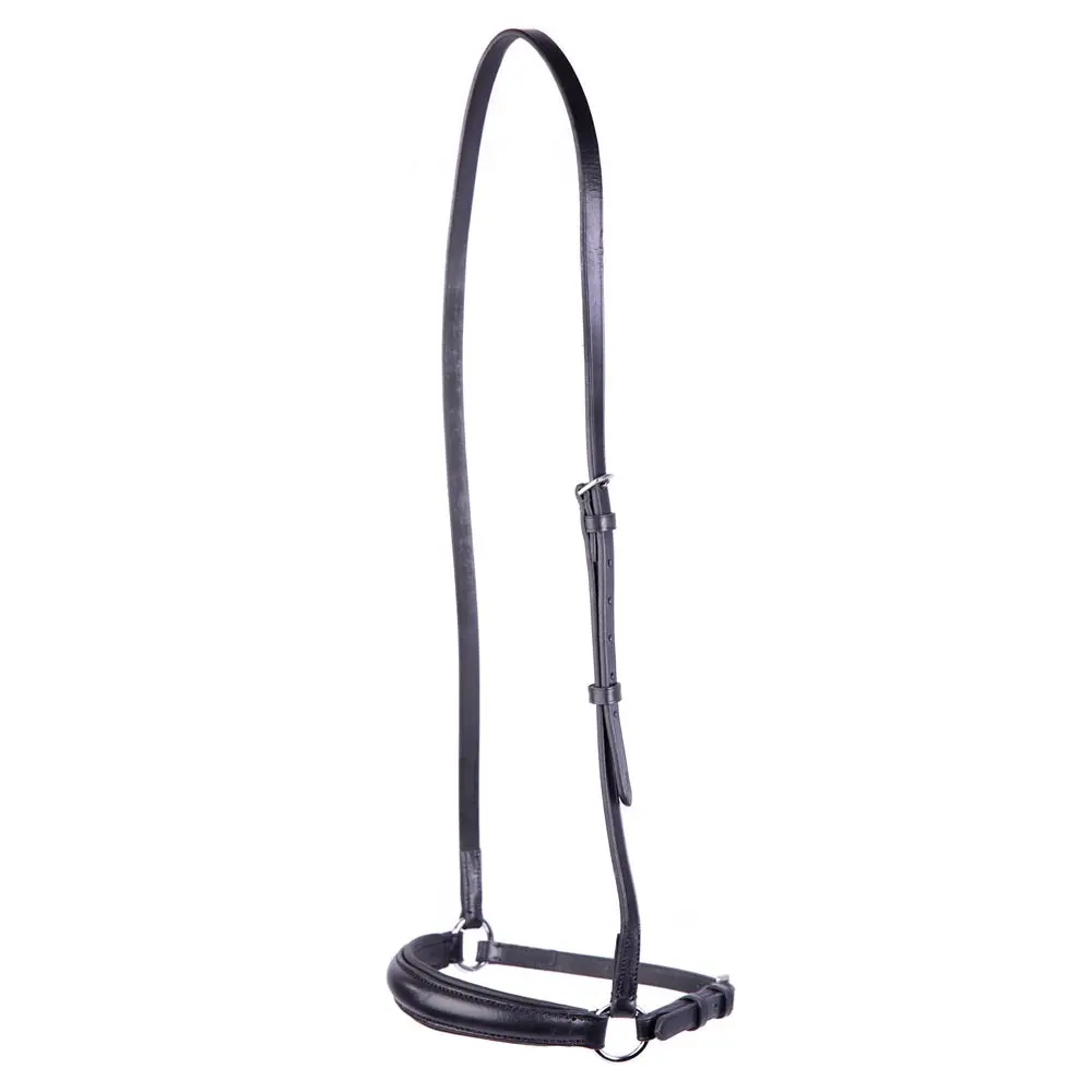German leather horse noseband with studs Premiere