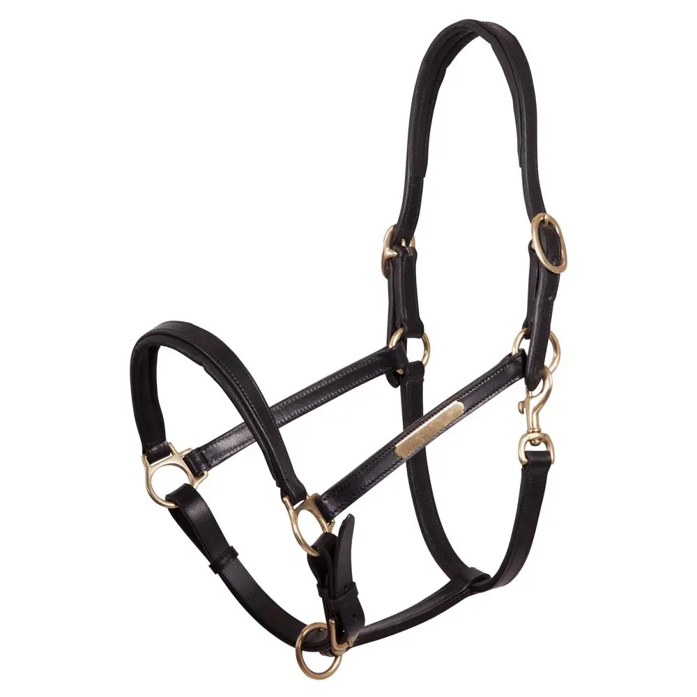 Cavezza in cuoio per cavalli Premiere Equitation