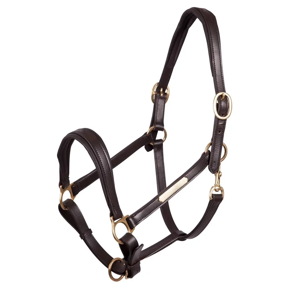 Cavezza in cuoio per cavalli Premiere Equitation