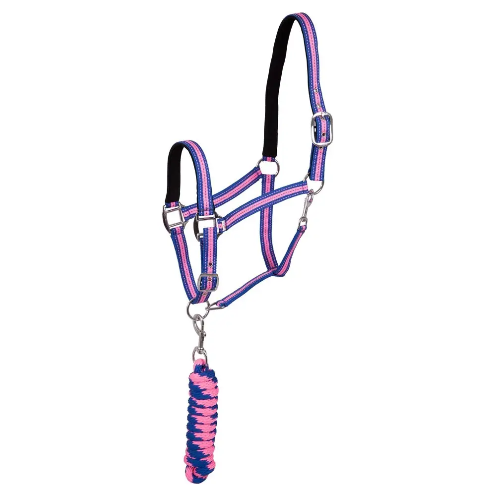 Halter and lead rope set for horse Premiere Equitation Stitch