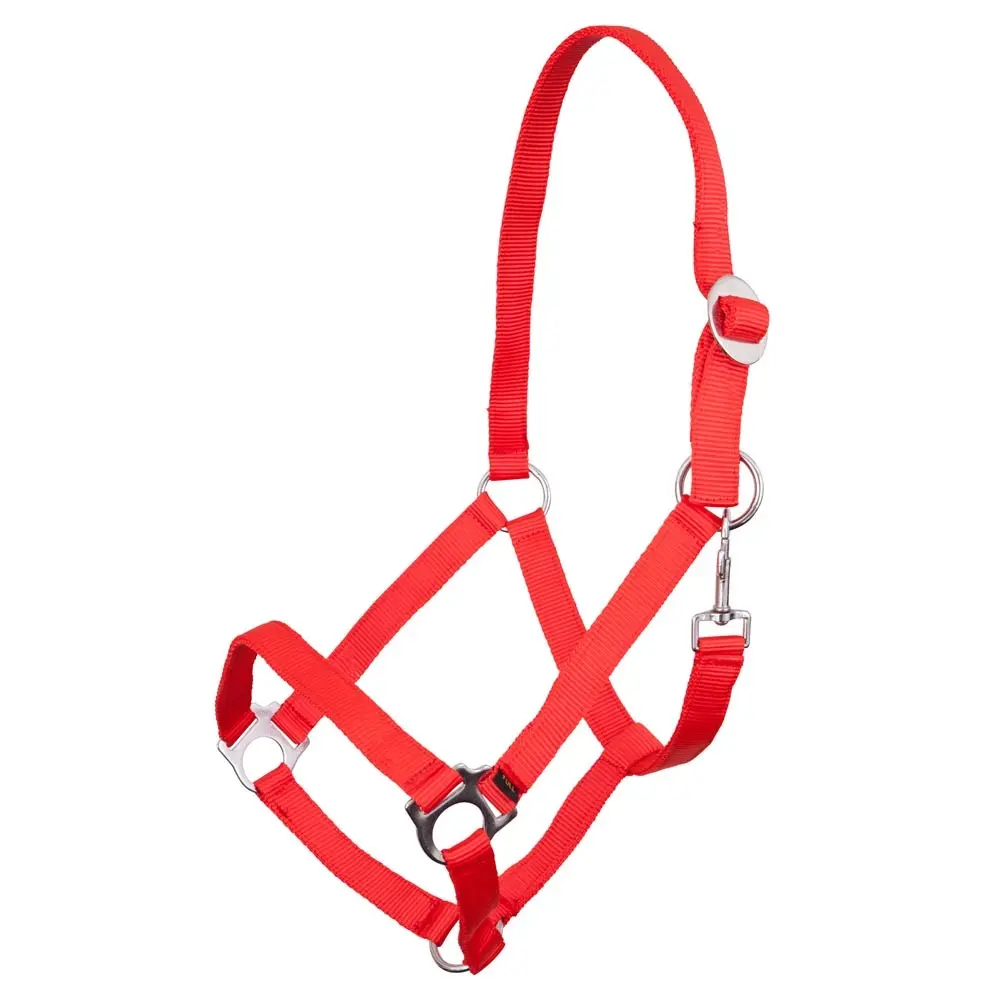 Propylene horse halter Premiere Equitation