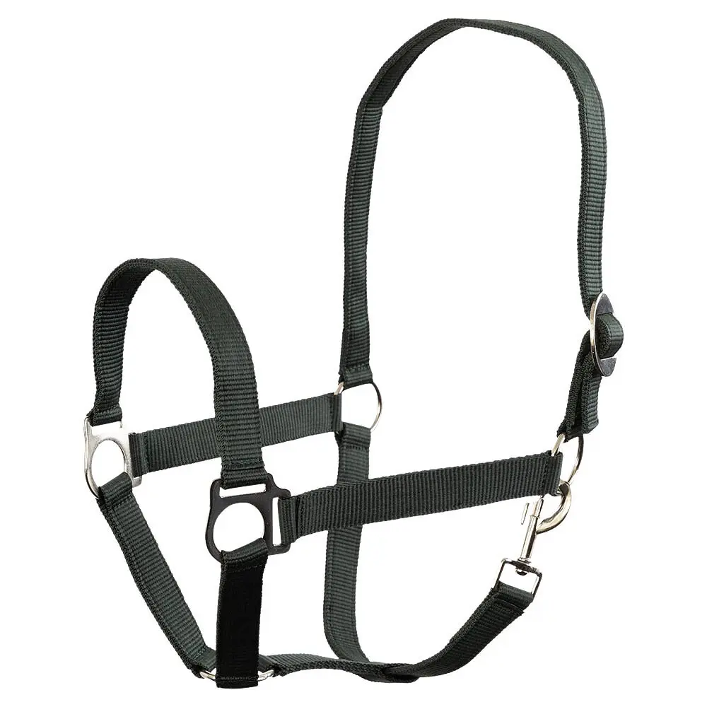 Horse halter Premiere Soft Economic