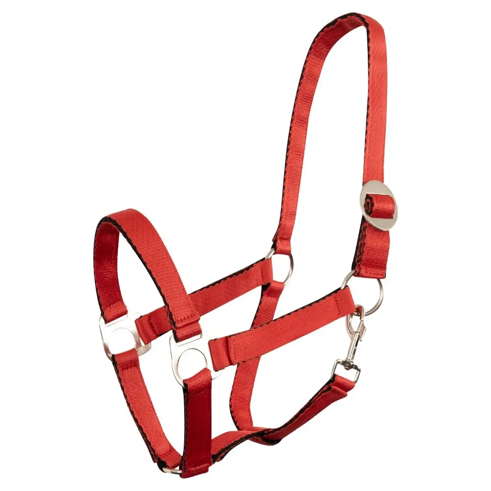 Halter for horse Premiere Equitation Soft Economic