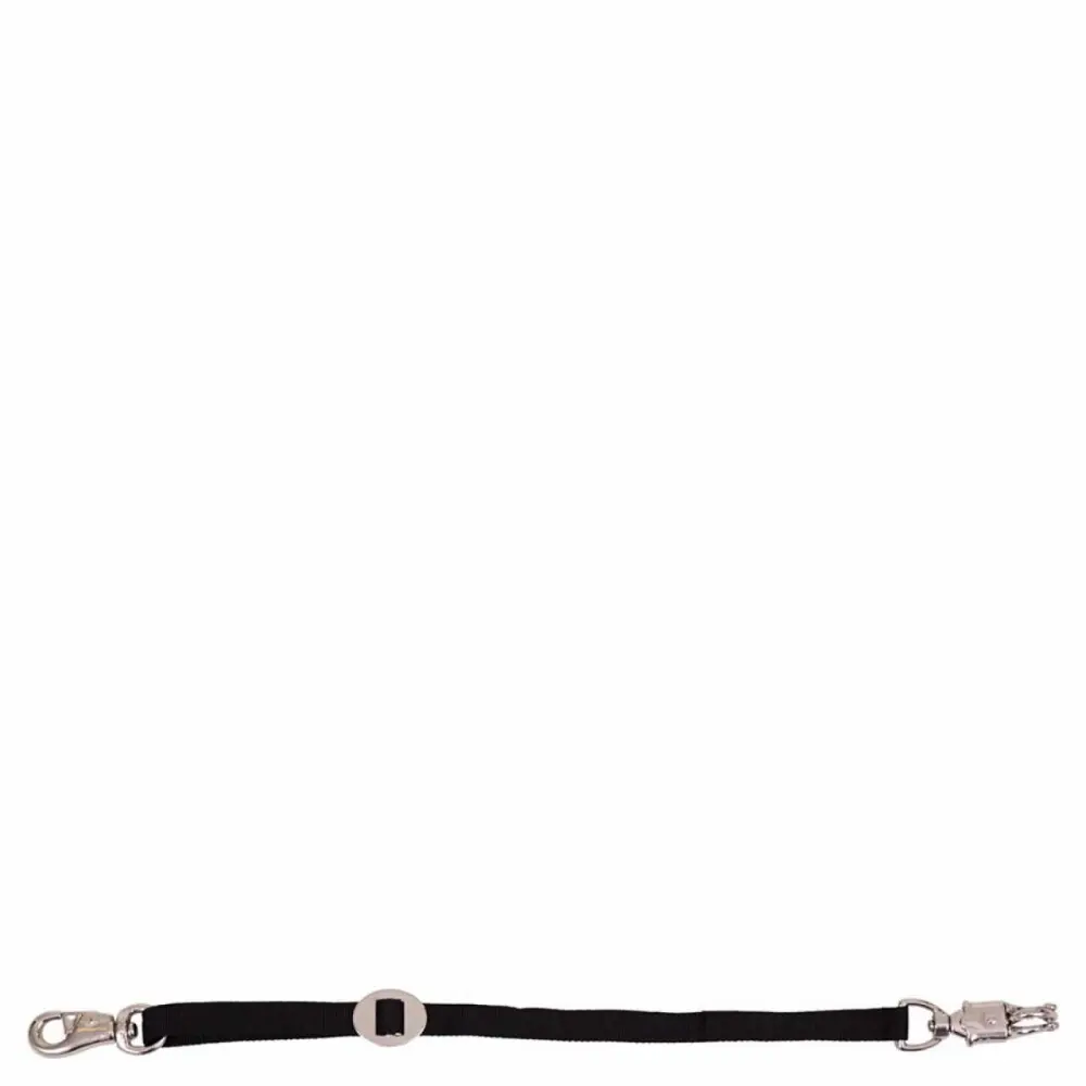 Nylon trailer hitch strap Premiere