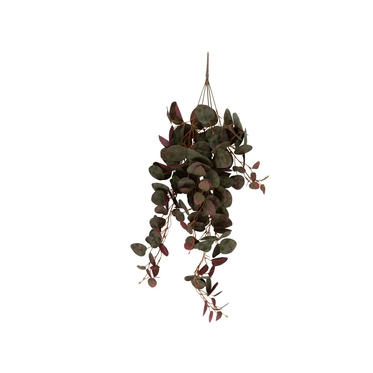 Pianta artificiale sospesa Present Time Ceropegia