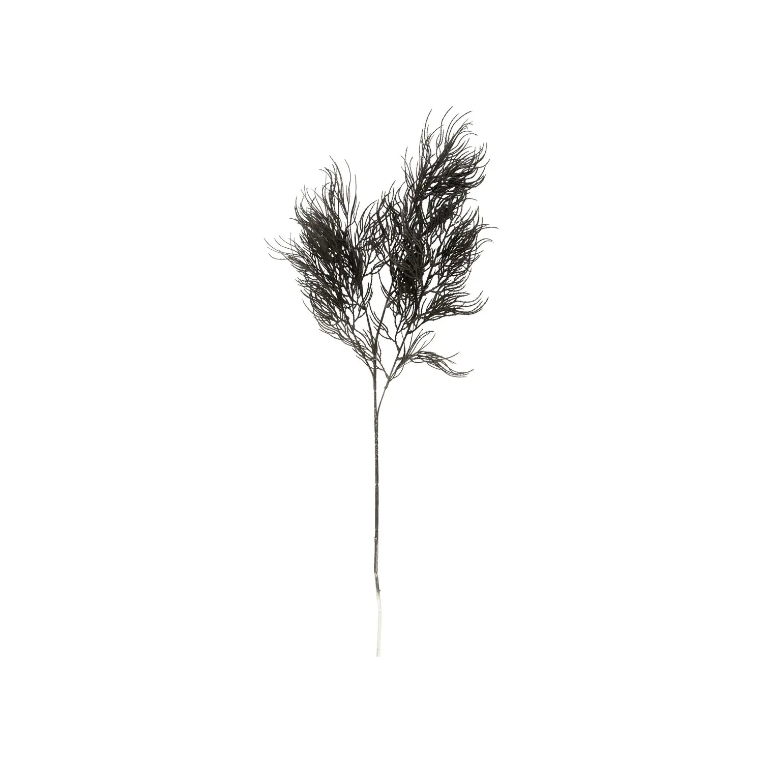 Künstliche Pflanze Farnstängel Spargel Present Time