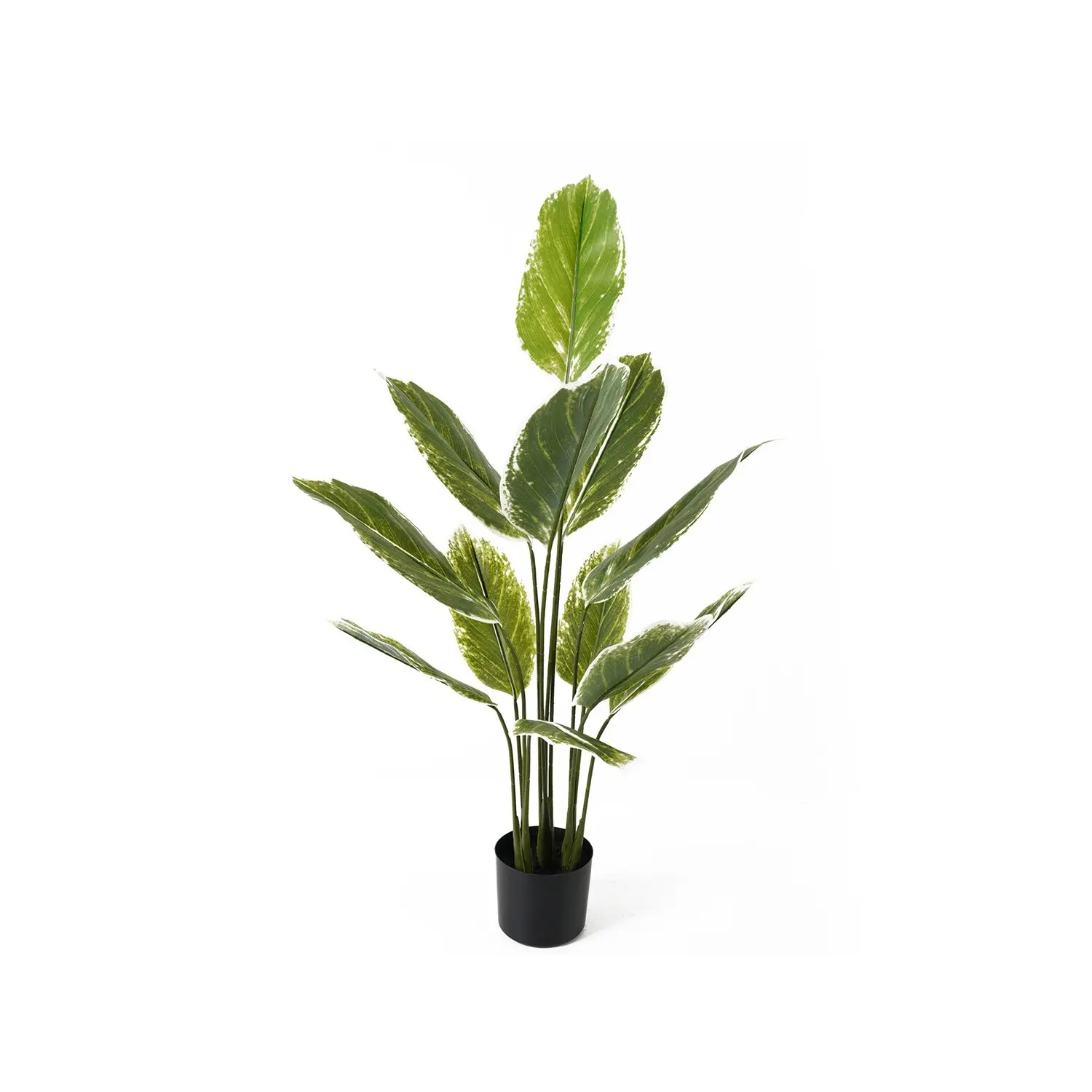 Künstliche Pflanze Present Time Calathea