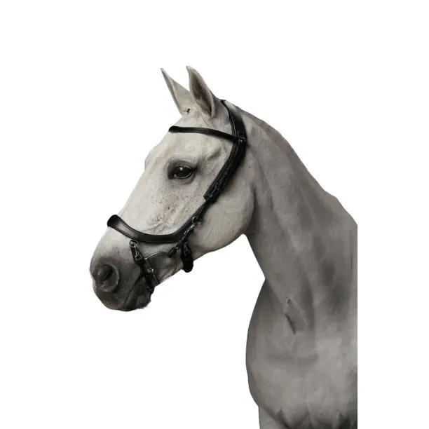 Riding bridles Presteq Faysport