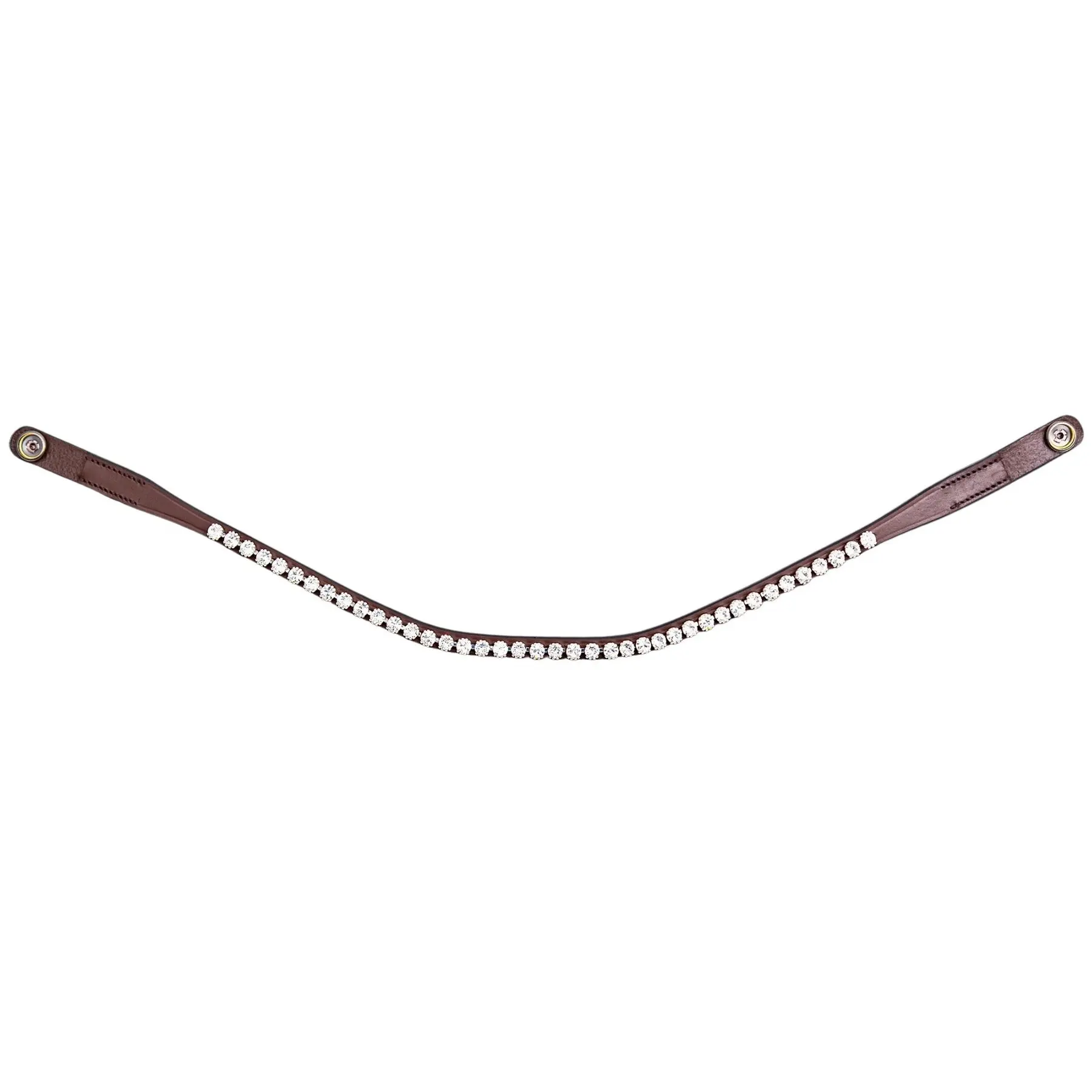 Frontale per cavallo Presteq ShineBright