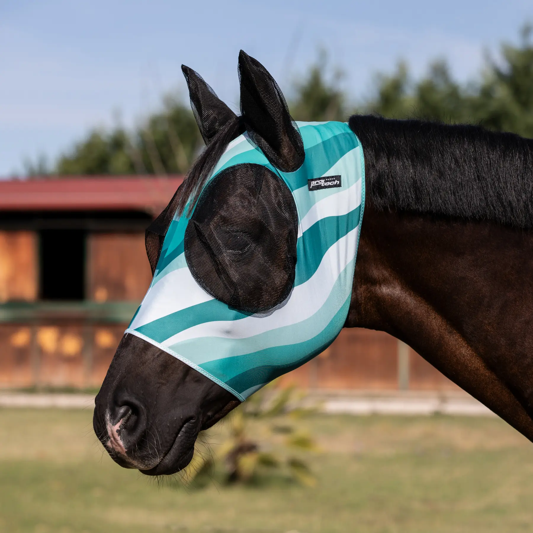 Horse fly bonnet in lycra with ear net Pro-Tech