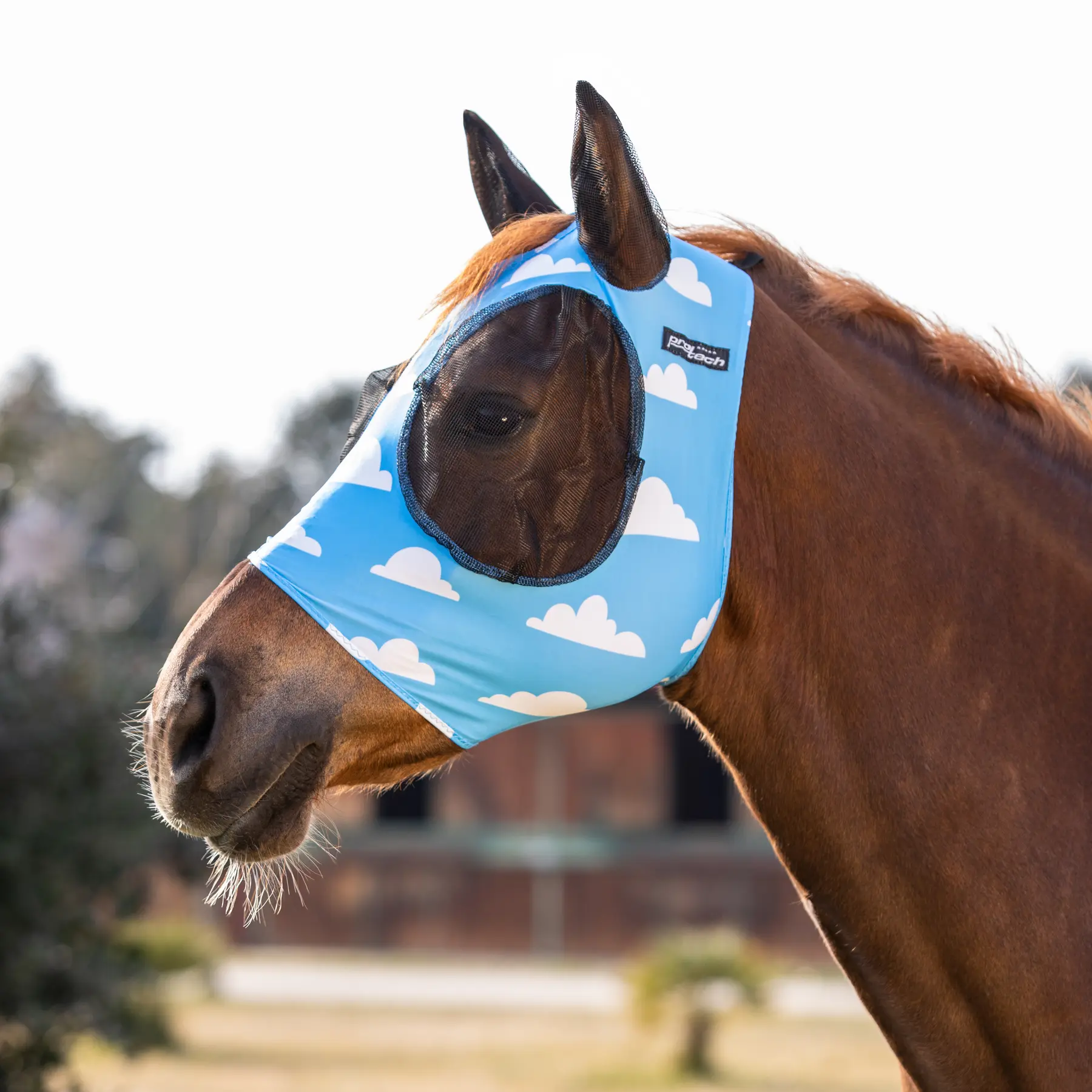 Horse fly bonnet in lycra with ear net Pro-Tech