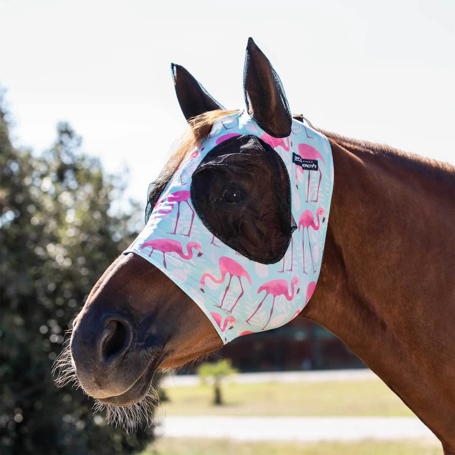 Horse fly bonnet in lycra with ear net Pro-Tech