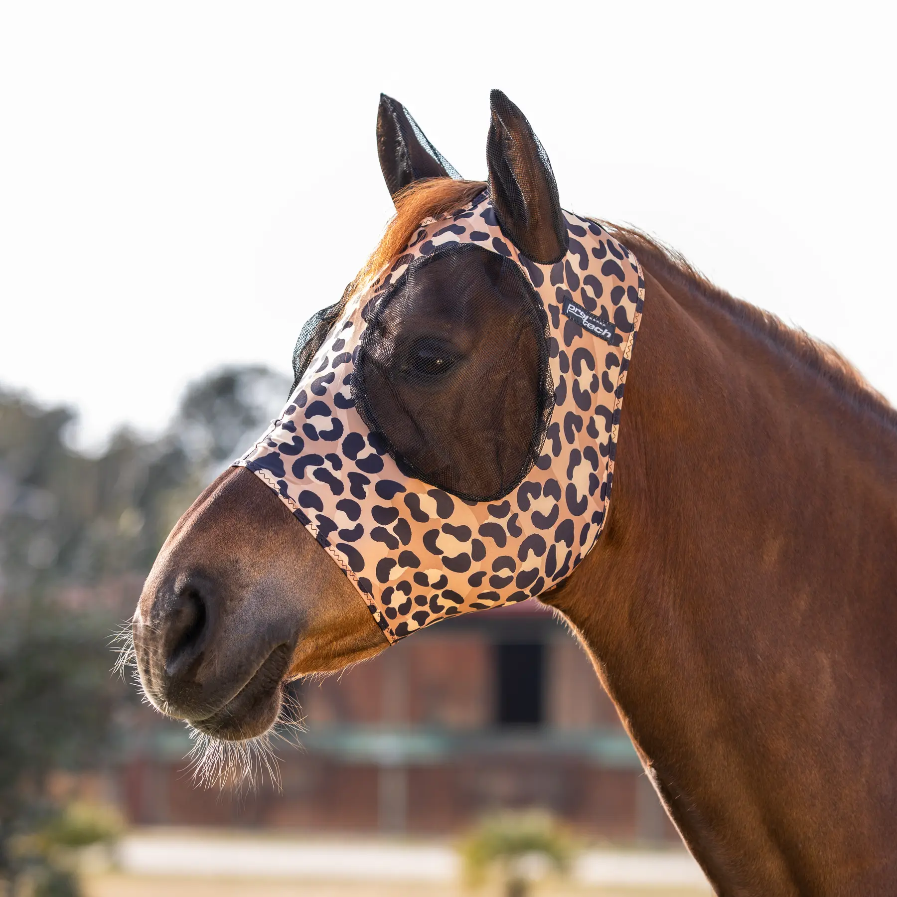 Horse fly bonnet in lycra with ear net Pro-Tech