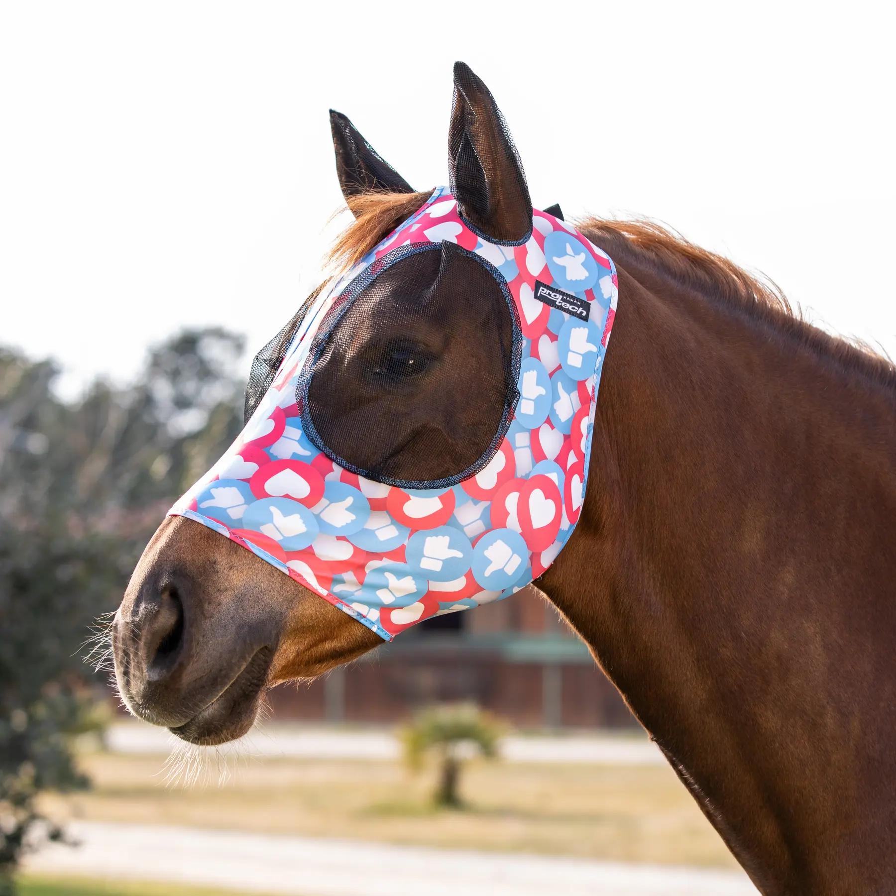 Berretto anti-insetti per cavallo in lycra con rete per orecchie Pro-Tech