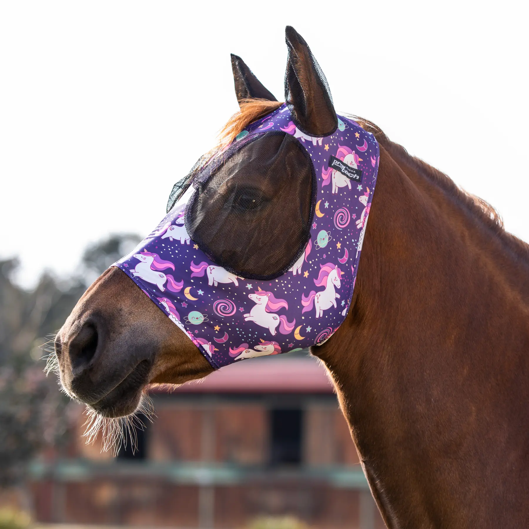 Horse fly bonnet in lycra with ear net Pro-Tech