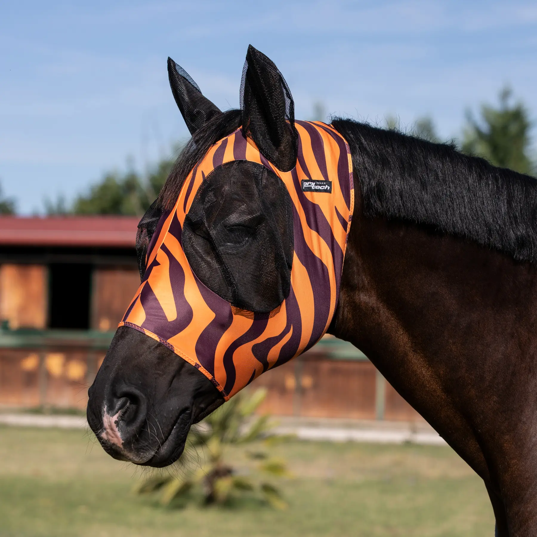 Horse fly bonnet in lycra with ear net Pro-Tech