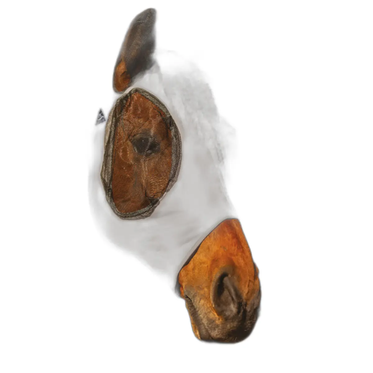 Anti-vliegenmasker voor paarden Professional's Choice Comfort-Fit