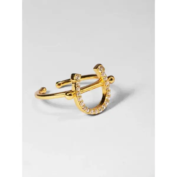 Ring aus Eisen mit Loch PS of Sweden