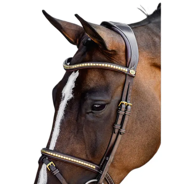 Riding bridle PS of Sweden Antwerp 2.0