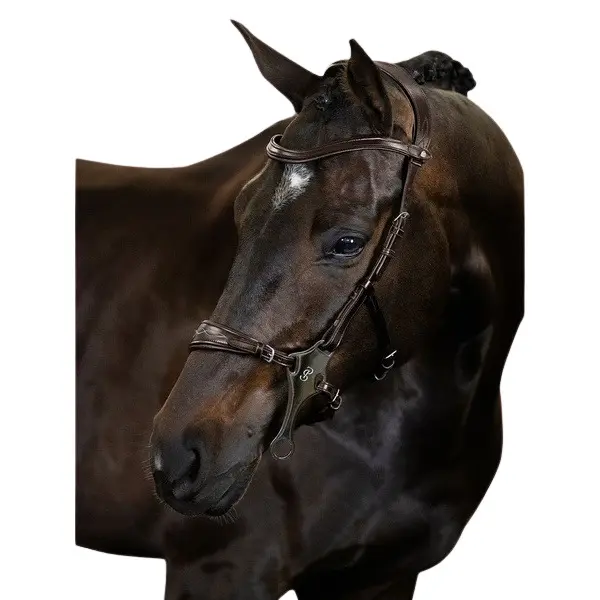 Riding bridle PS of Sweden Hackamore