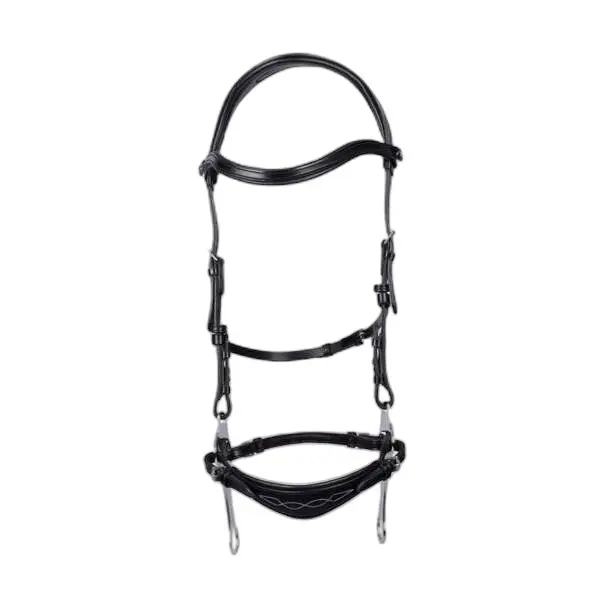 Riding bridle PS of Sweden Hackamore