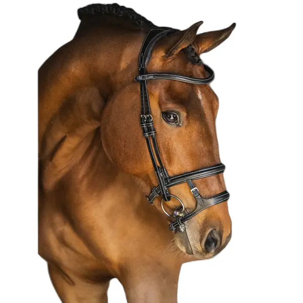 Riding bridle PS of Sweden Paris