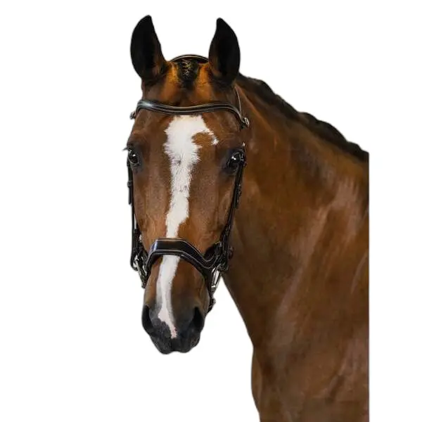 Riding bridle PS of Sweden Pioneer