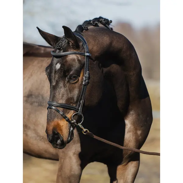 Riding bridle PS of Sweden Stockholm