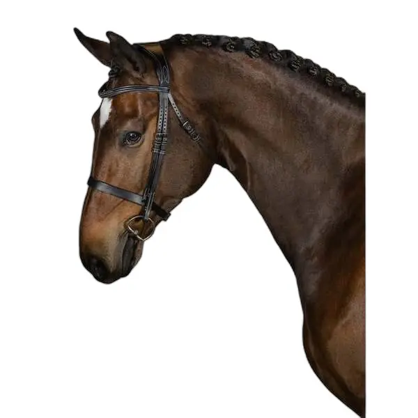 Riding bridle PS of Sweden Wellington
