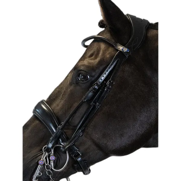 Double bridle for riding PS of Sweden Passage