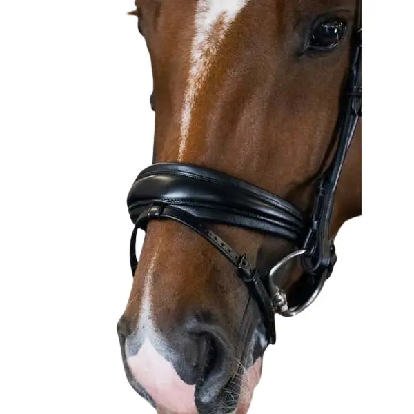 Briglia da equitazione PS of Sweden GP